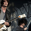 &copy; Steve Hopson / RumBum.com