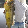 &copy; FishQuest!
