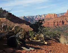Sienna rests after a long day&amp;#39;s hike.