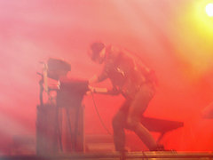 The Bloody Beet Roots at Ultra Fest 2010.