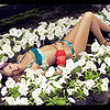 &copy; Maaji Swimwear