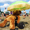 &copy; Adam Moskowitz / RumBum.com