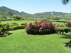 Golf course view from the back porch of the condo. / Elliott Stark