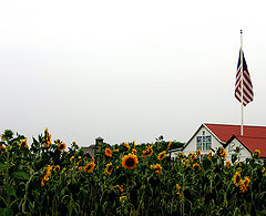 Flickr / G. C. P. Grey