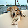 Downwind