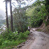 Alisa-clickenger---machupicchu1
