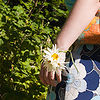 Creative-commons-orin-zebest