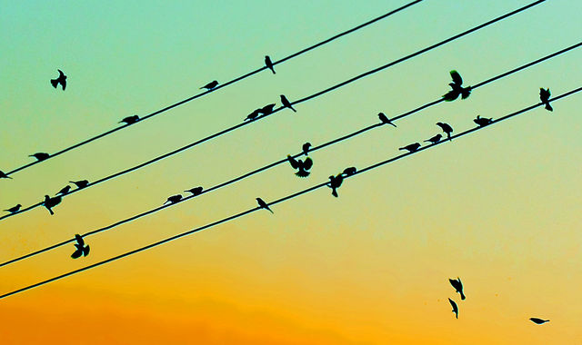 &copy; Flickr / linh.ngan