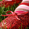 Flickr-mykl-roventine-slippers