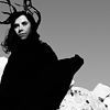 Pj-harvey
