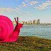 Flickr-miamism-snail