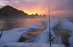 Cabo: To Fish or Fiesta?
