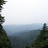 Reannonmuth-woods7
