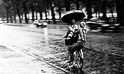 &copy; Flickr / Swanksalot