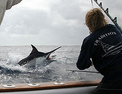 &copy; Tradition Charters