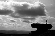 &copy; Flickr / Jon Kidd