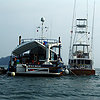 Mrichardson-sailors1-