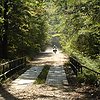Kenbingenheimer-trailblazing-3