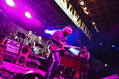 &copy; Tracy Block / RumBum.com