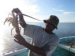 &copy; Monte Richardson / RumBum.com
