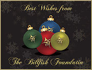 Happy Holidays from TBF