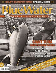 The state of the bluefin