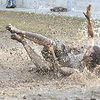 Mud-at-all-points-west