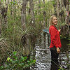 Swamp