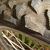 Mountain-bike