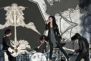 &copy; Steve Hopson / RumBum.com