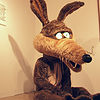 Coyote-large-view-885