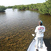 Img-8074a