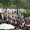 Wmcpartypic