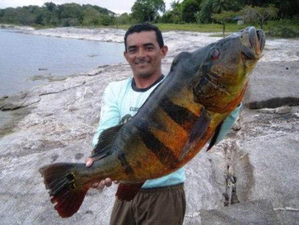 &copy; FishQuest!