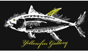 Yellowfin-gallery